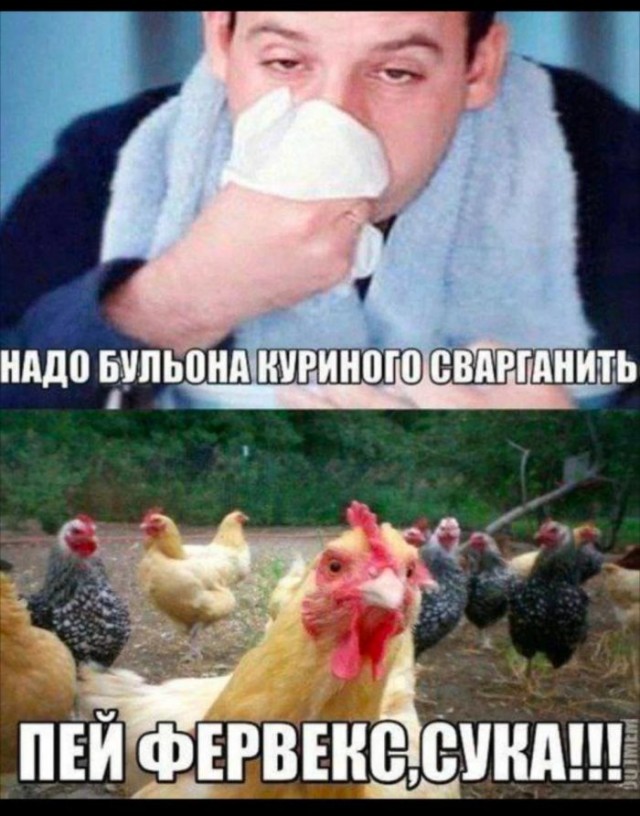 Картинки для деградации 68 (разной степени свежести)