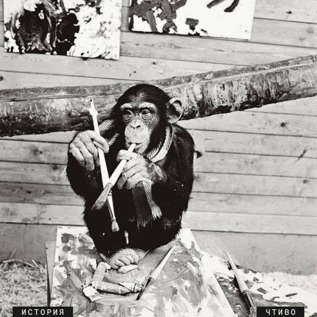 Как обезьяна обманула ценителей искусства