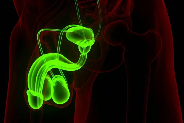 Исследование Мюнхенского университета