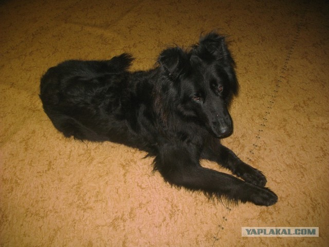 Cтанция Валькаркай