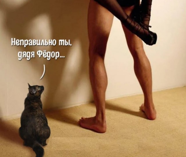 Котямбосы