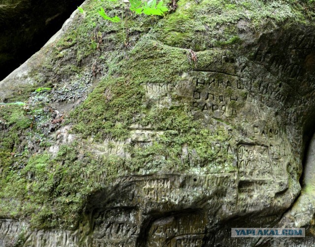 Парижская полиция вычислила уличного художника