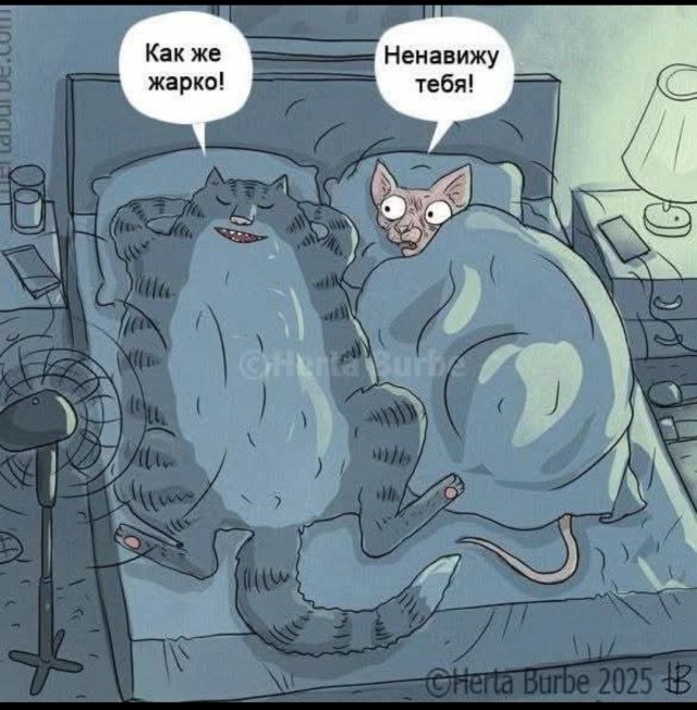 Картинки для деградации 195 (разной степени свежести)
