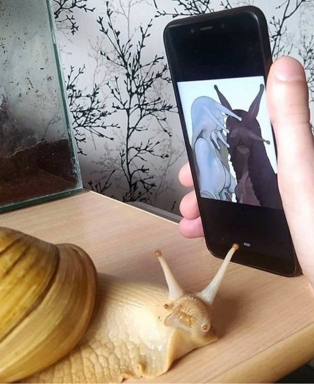 Среды картинки