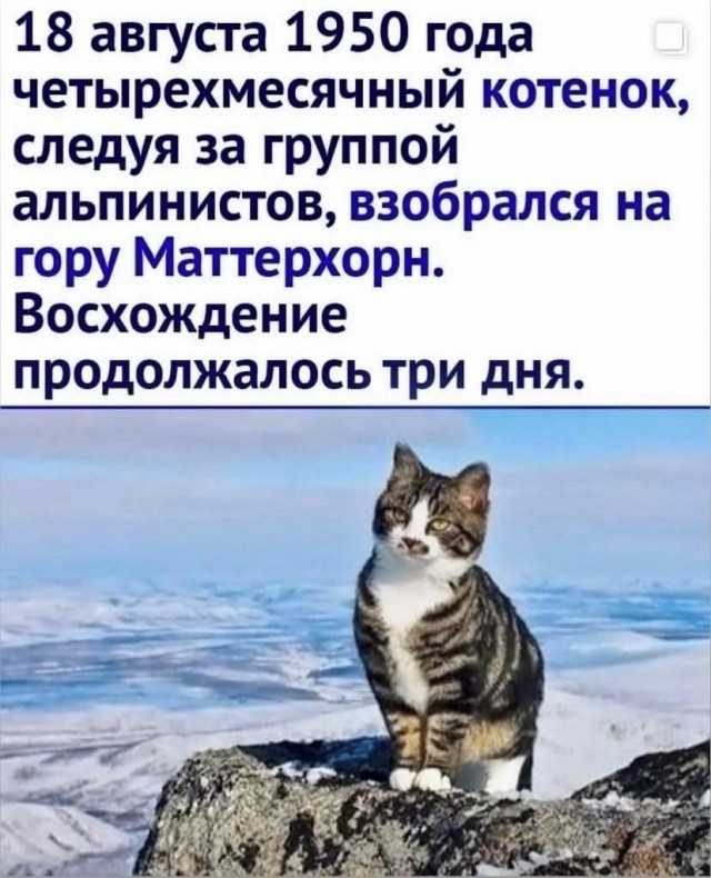 Так себе картинки 30.06.26