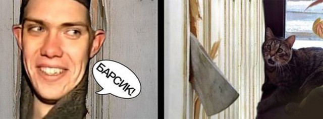Спасение кота