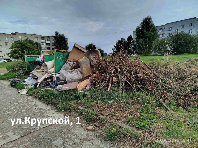Предвыборные помойки