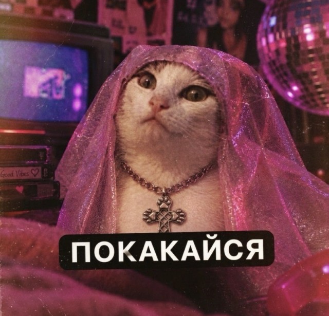 Картинки для деградации 293 (разной степени свежести)