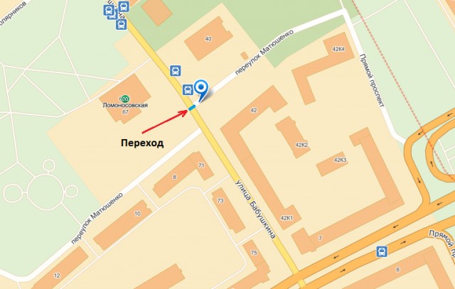 СтопХам СПб - Зебра