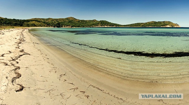 Природа Приморского края