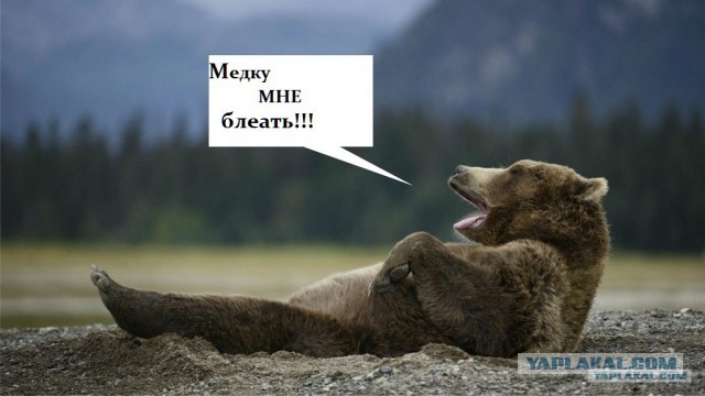 Новый мидвет!