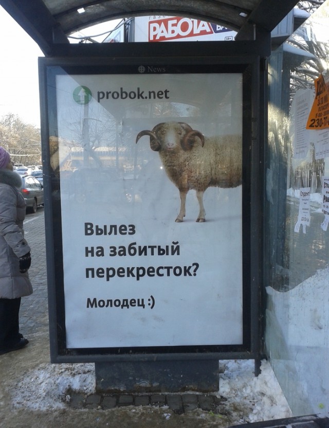 Картинки