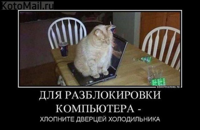 Демотиваторов пост, добавляйте свои