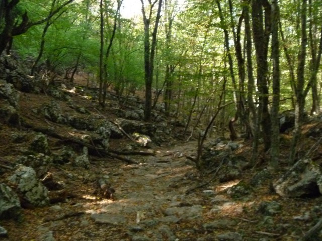 Путешествие автостопом из Донецка в Севастополь.