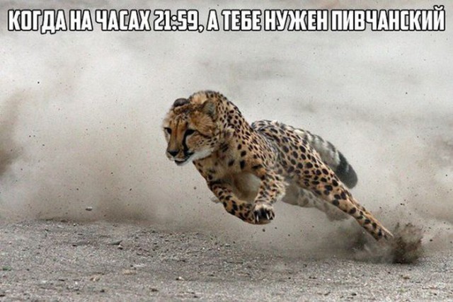Картинки на пятницу