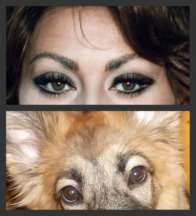 Собакочетверг же, ау!