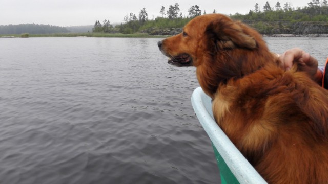 Картинки на среду