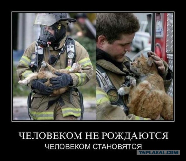 Моменты, заставляющие меня верить в человечество...