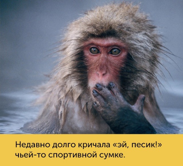 15 проблем, которые поймут только люди с плохим зрением