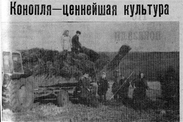 Всемирный заговор против конопли
