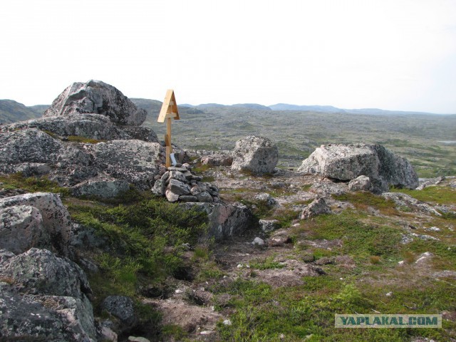 Мурманские поисковики нашли останки расстрелянных красноармейцев по фотографиям из немецкого архива