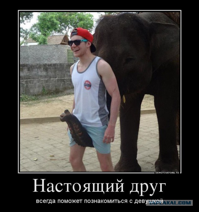 Куда исчезают друзья?
