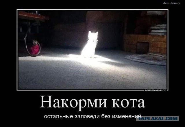 Чё хомячишь? А мне?