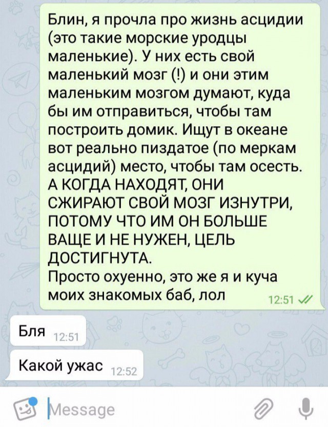 Ужасы и приколы из соцсетей 18+
