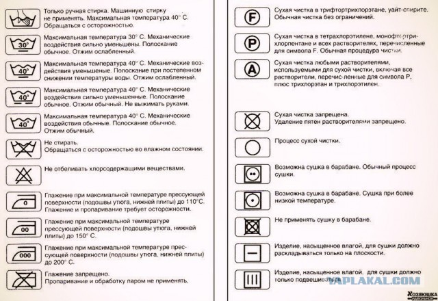 А я иду такая вся в Дольче Габанна