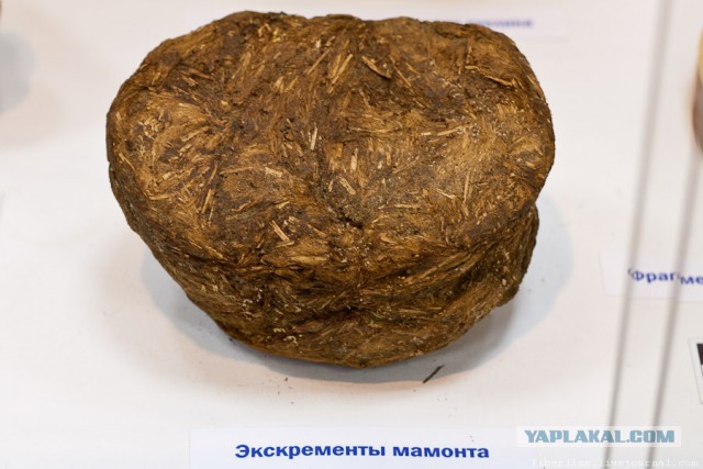 Компьютерные новинки и диковины, которые я открыл для себя в 2017 году