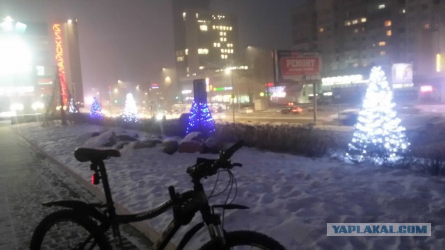 Сегодня, у нас в Териберке...