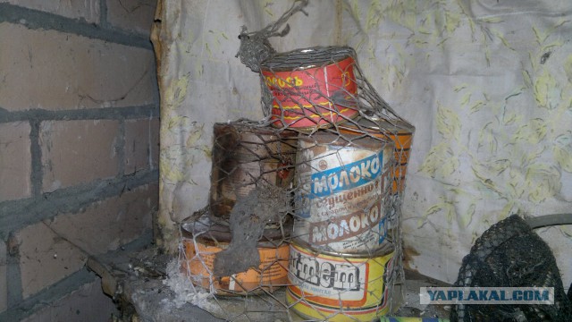 Тушёнка. Нашёл разбирая завалы в квартире