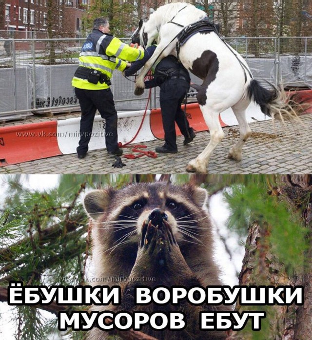 Нестандартный юмор