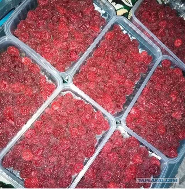 Остатки сладки