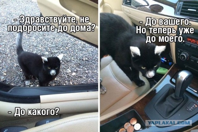 Чуток картинок 11.10.19