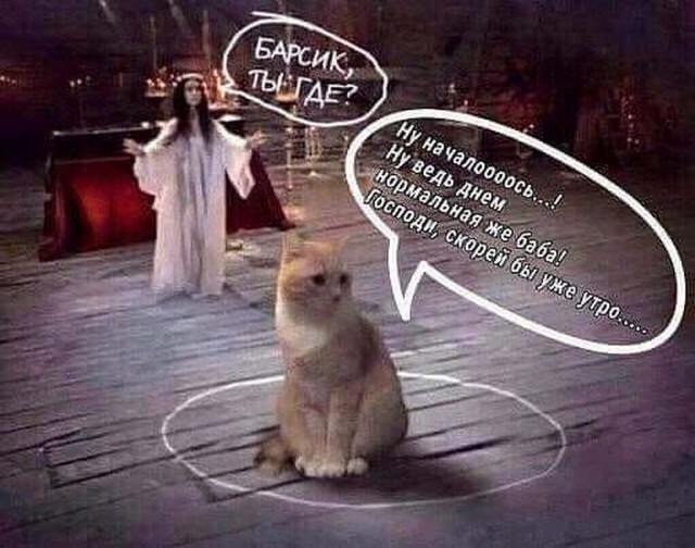 Бредзона