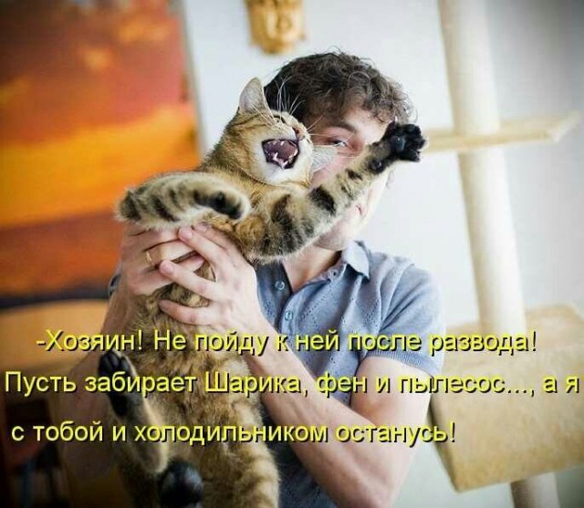 Хвостатые—усатые