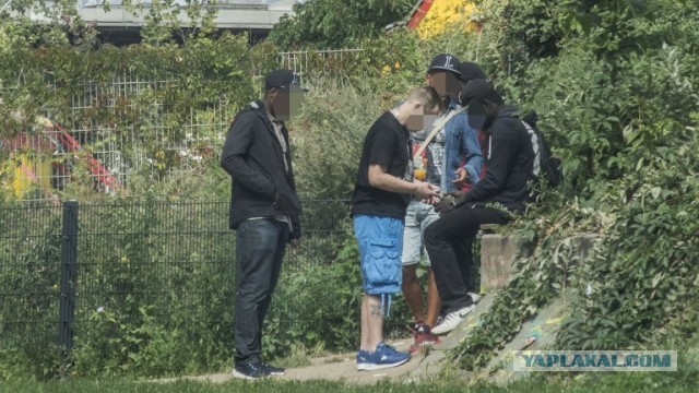 Ну вот и немецкие менты подтянулись к тренду