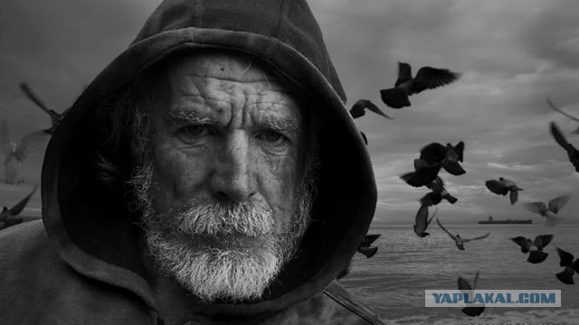 А вы знали, что бывают поддельные остановки?