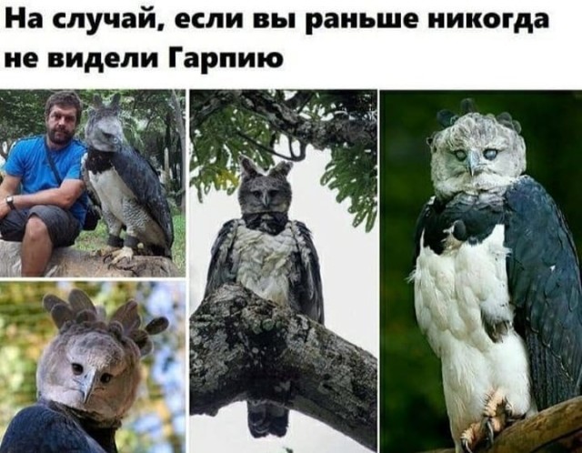 Просто добрые картинки. Всем хорошего дня!