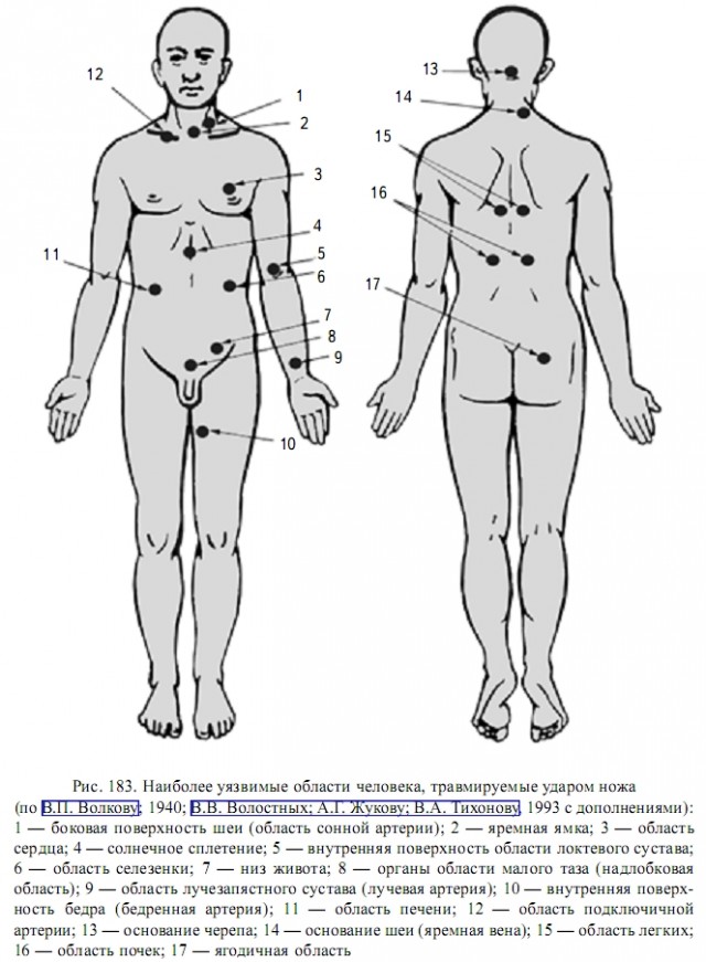 Уязвимые органы. Уязвимые места тела человека. Болевые точки человека схема. Болевые точки у человека на теле схема.