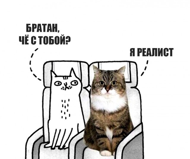 Картинки всякие 13.02.21