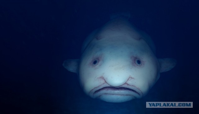 Нереальная красота таёжного озера