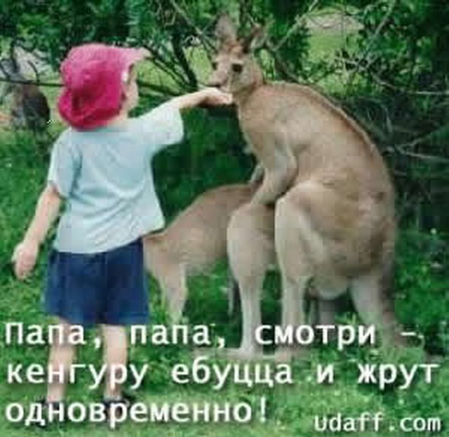 Так себе картинки 28.03.21
