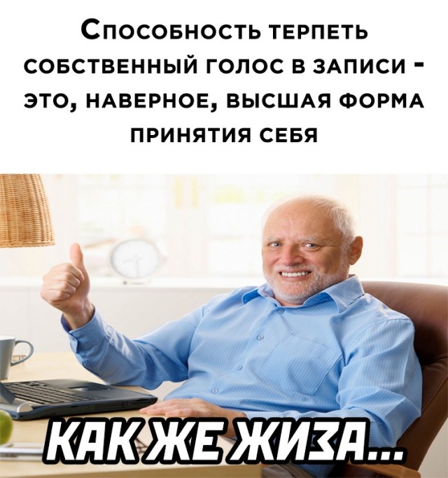 Весёлый полтишок 31.03