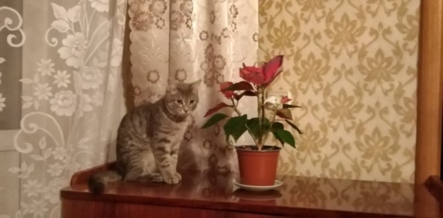 Добрые картинки 28.11.20
