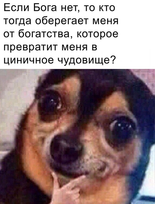 Картинки и мемы для настроения 029