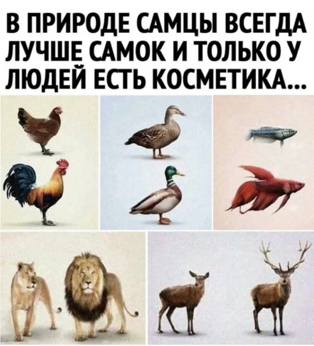 Везде обман! Мужики будьте осторожны!