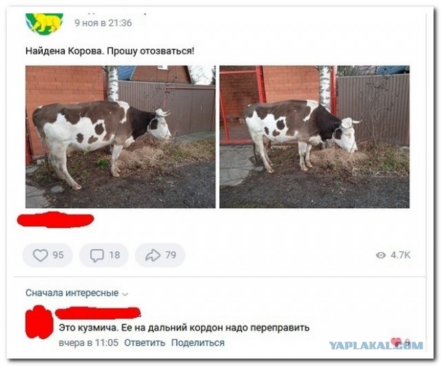Забавные комментарии из социальных сетей (22.11.21)