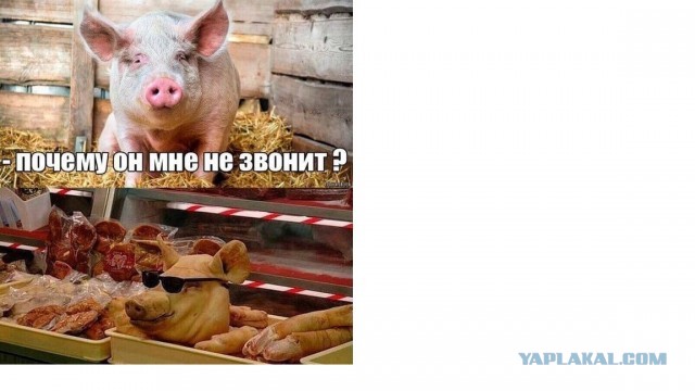 Картинки на выходные 12.12.21